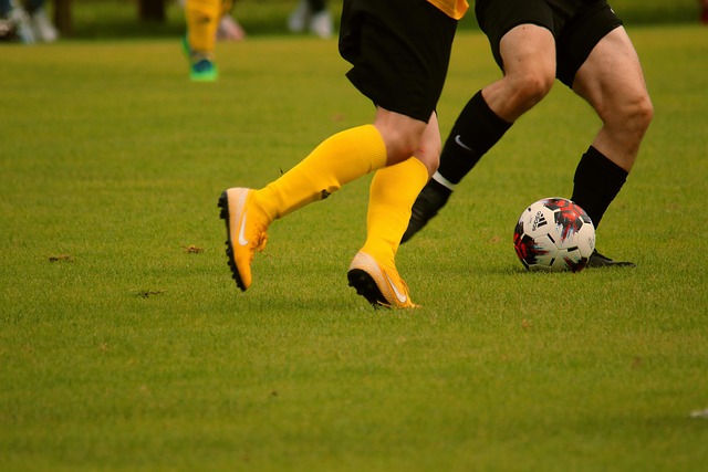 不仅增强了 不仅增强了