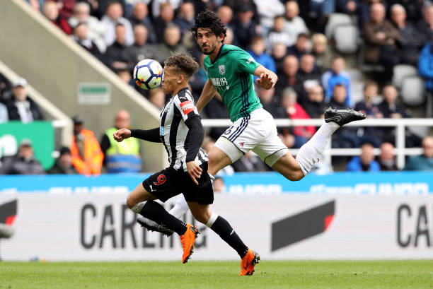 的比分干净 的比分干净