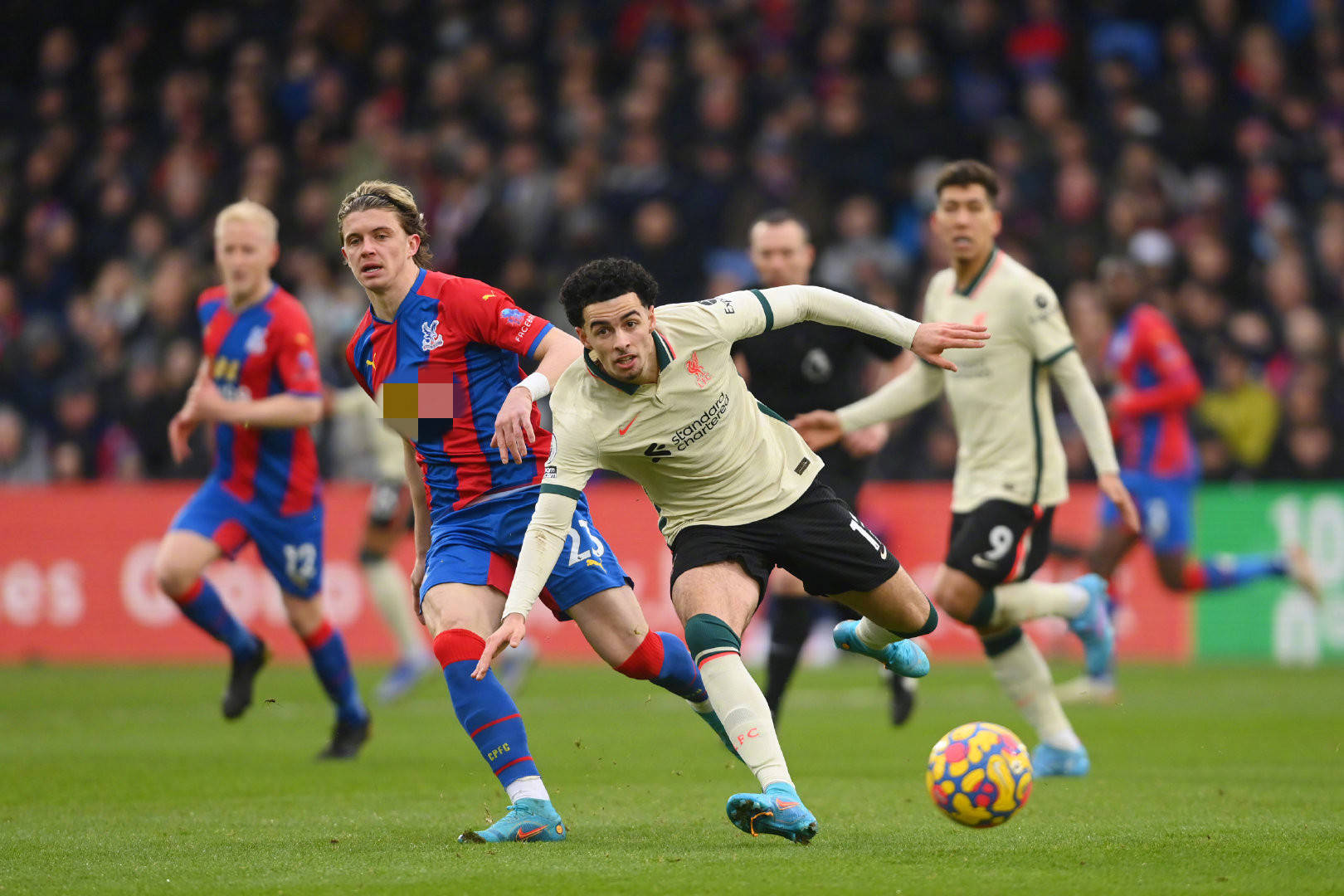 可熱的年輕 可熱的年輕